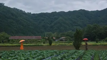 Backdrop to the movie "The Taste of Tea" #1649850