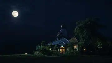 Backdrop to the movie "The Taste of Tea" #1649856