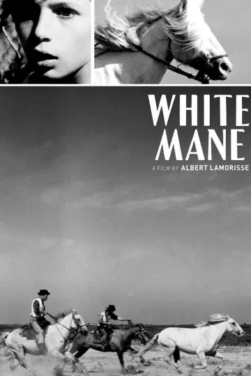 Poster to the movie "White Mane" #1096774