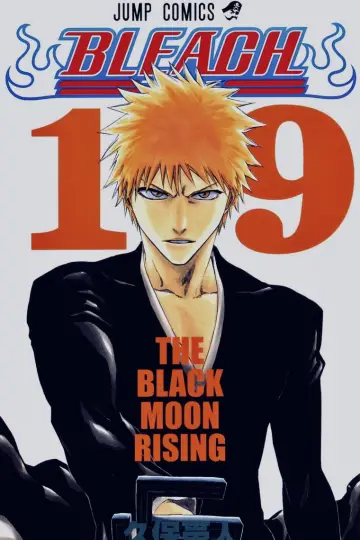 Poster to the movie "Bleach the Movie: Memories of Nobody" #943838