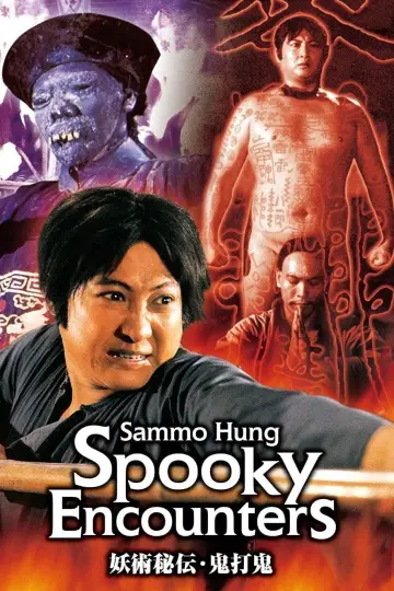 Poster to the movie "Encounters of the Spooky Kind" #942976