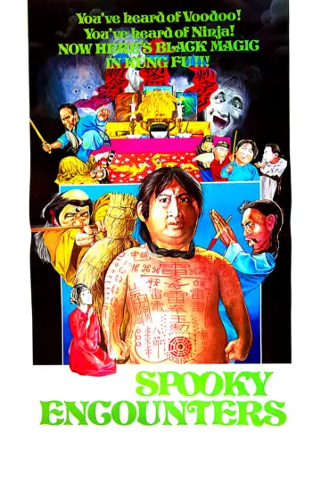 Poster to the movie "Encounters of the Spooky Kind" #942979
