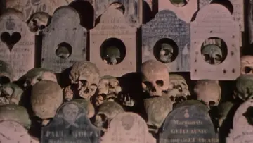 Backdrop to the movie "Faces of Death II" #1636924