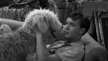 Backdrop to the movie "The Shaggy Dog" #1078345