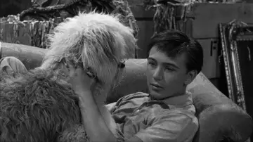 Backdrop to the movie "The Shaggy Dog" #1078346