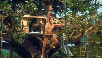 Backdrop to the movie "George of the Jungle" #857837