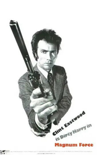 Poster to the movie "Magnum Force" #873888