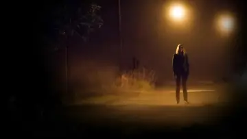 Backdrop to the movie "The Strangers" #1830693