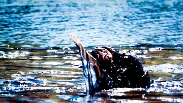 Backdrop to the movie "Creepshow 2" #296188