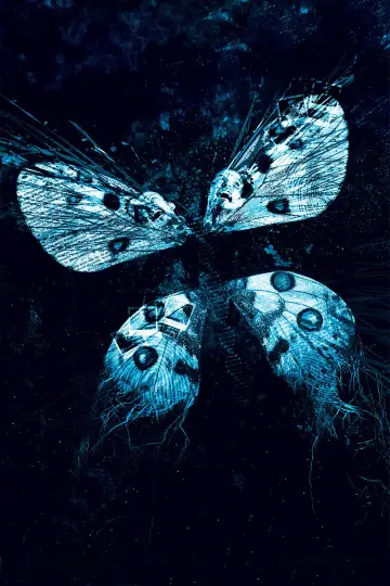 Poster to the movie "The Butterfly Effect 3: Revelations" #939066