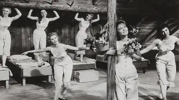 Backdrop to the movie "Seven Brides for Seven Brothers" #989922