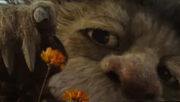 Backdrop to the movie "Where the Wild Things Are" #692173
