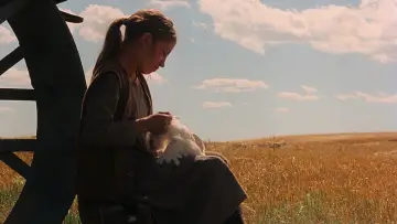 Backdrop to the movie "Days of Heaven" #716408
