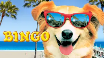 Backdrop to the movie "Bingo" #1074719