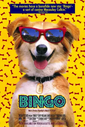 Poster to the movie "Bingo" #1074726