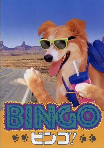 Bingo