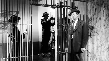 Backdrop to the movie "The Asphalt Jungle" #209840