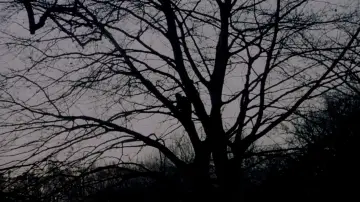 Backdrop to the movie "Birth" #663077