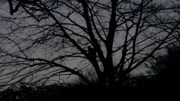 Backdrop to the movie "Birth" #663078