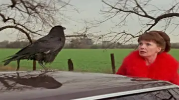 Backdrop to the movie "Damien: Omen II" #949537