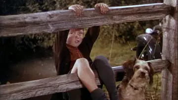 Backdrop to the movie "National Velvet" #1120141