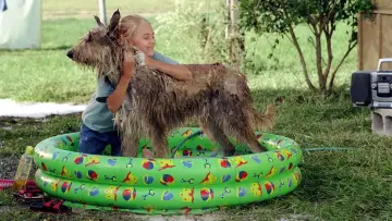 Backdrop to the movie "Because of Winn-Dixie" #1044338