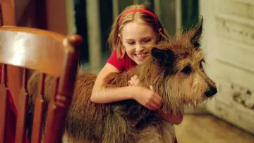 Backdrop to the movie "Because of Winn-Dixie" #1044339
