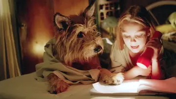 Backdrop to the movie "Because of Winn-Dixie" #1044340
