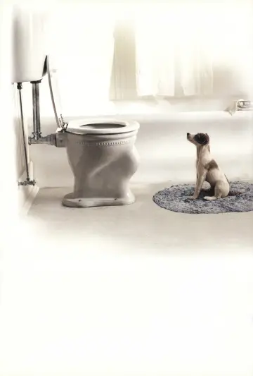 Poster to the movie "My Dog Skip" #1079894
