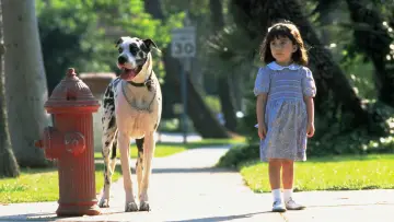 Backdrop to the movie "Matilda" #464262