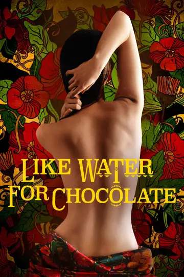 Poster to the movie "Like Water for Chocolate" #988864