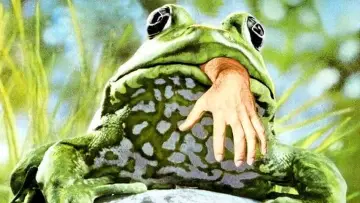 Backdrop to the movie "Frogs" #482867