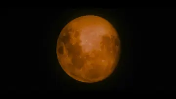 Backdrop to the movie "The Twilight Saga: New Moon" #1576586