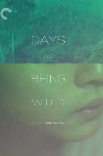 Poster to the movie "Days of Being Wild" #1185307