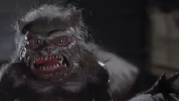 Backdrop to the movie "Ghoulies" #383713