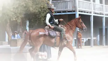 Backdrop to the movie "Charro!" #1568724