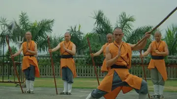 Backdrop to the movie "Spiritual Kung Fu" #725983