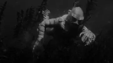 Backdrop to the movie "Creature from the Black Lagoon" #870996