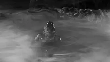 Backdrop to the movie "Creature from the Black Lagoon" #871009
