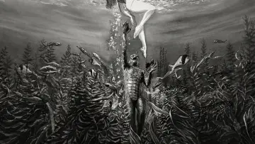 Backdrop to the movie "Creature from the Black Lagoon" #871026