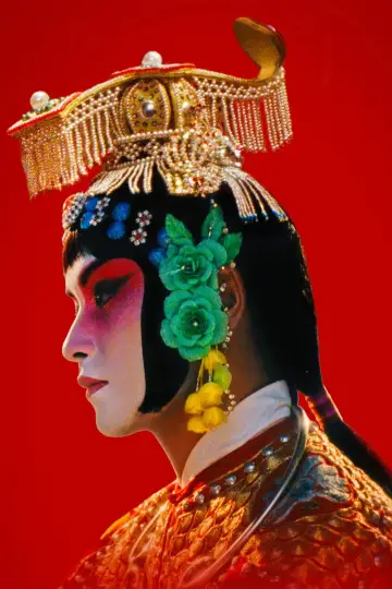 Poster to the movie "Farewell My Concubine" #712052