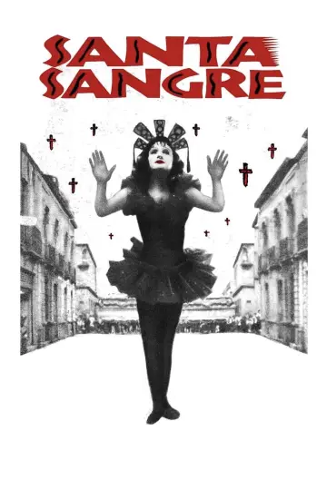 Poster to the movie "Santa Sangre" #991230