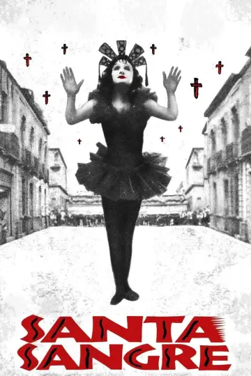 Poster to the movie "Santa Sangre" #991241