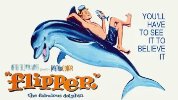 Backdrop to the movie "Flipper" #1127862