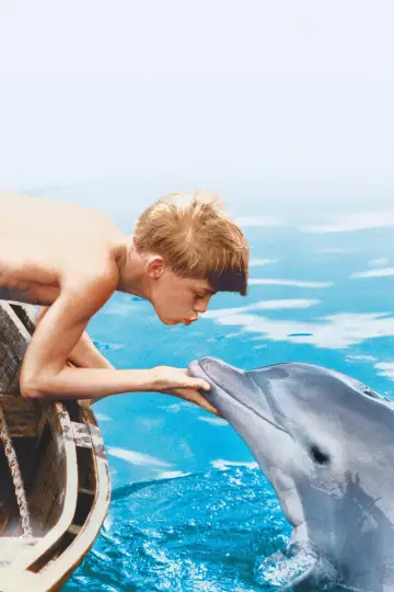 Poster to the movie "Flipper" #1204312