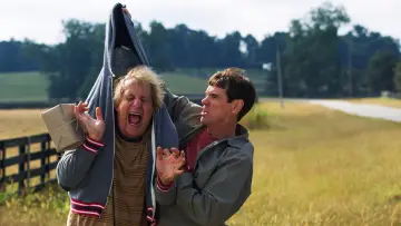 Backdrop to the movie "Dumb and Dumber To" #1799140