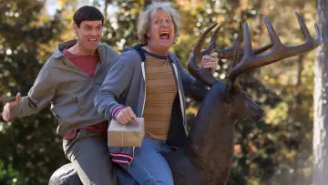 Backdrop to the movie "Dumb and Dumber To" #316550