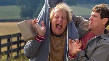 Backdrop to the movie "Dumb and Dumber To" #316555