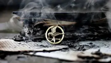 Backdrop to the movie "The Hunger Games: Catching Fire" #836243