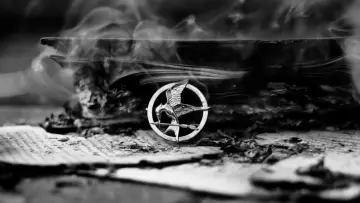 Backdrop to the movie "The Hunger Games: Catching Fire" #836244